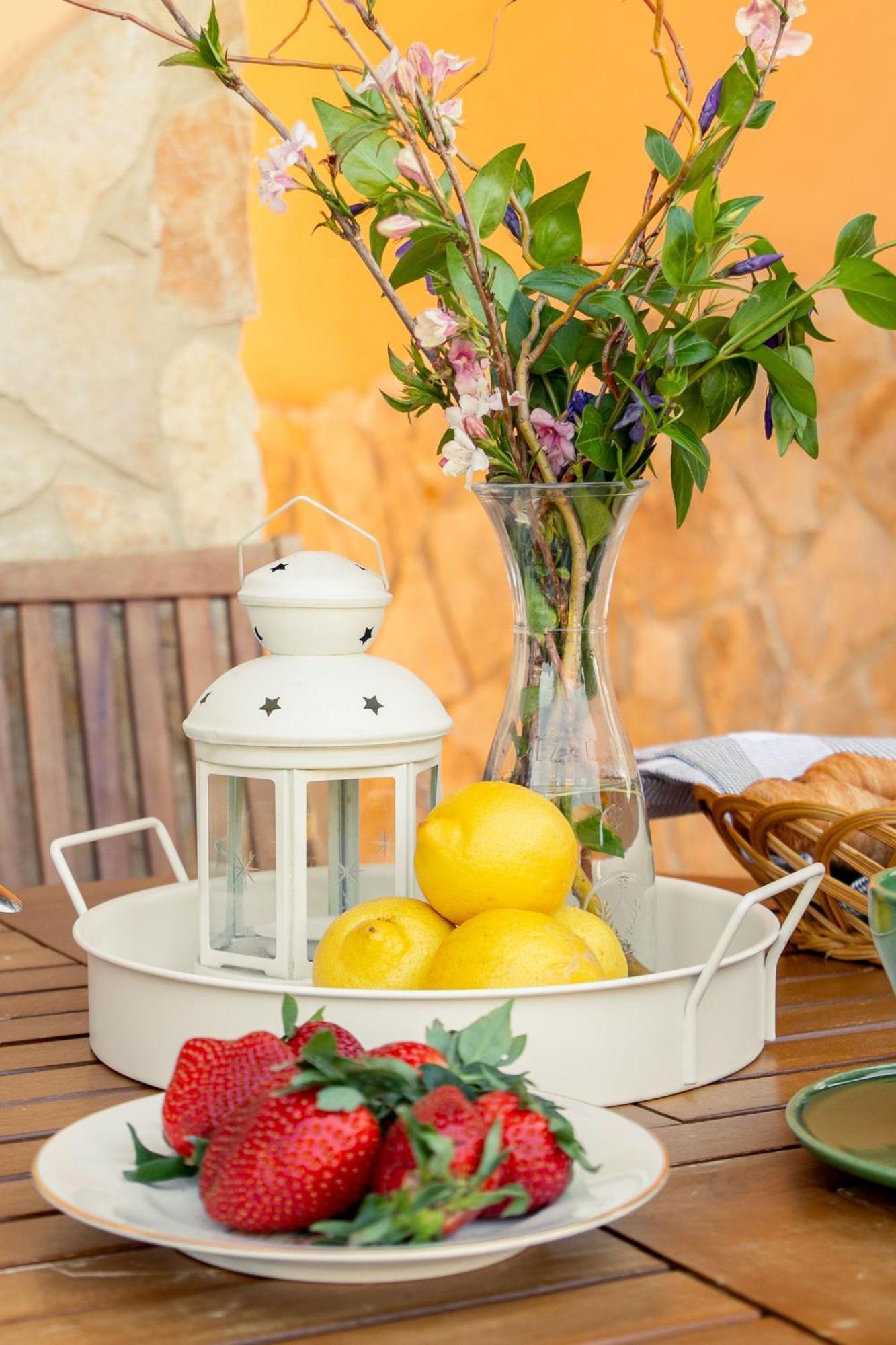 Noi 2 Vacanze - Il Nido Di Gina Contignano Ngoại thất bức ảnh